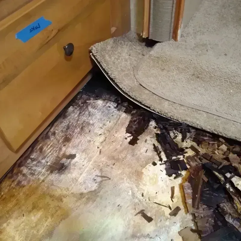 Wood Floor Water Damage in Hercules, CA